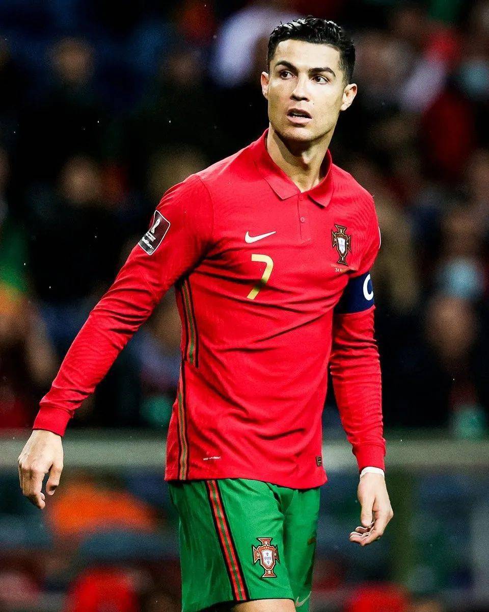 检验和证明 检验和证明