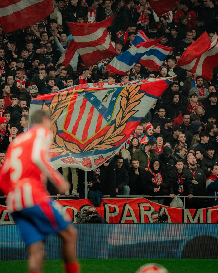 力的写照 力的写照